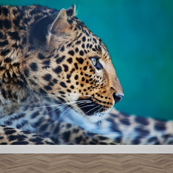 Carta da parati Leopardo curioso