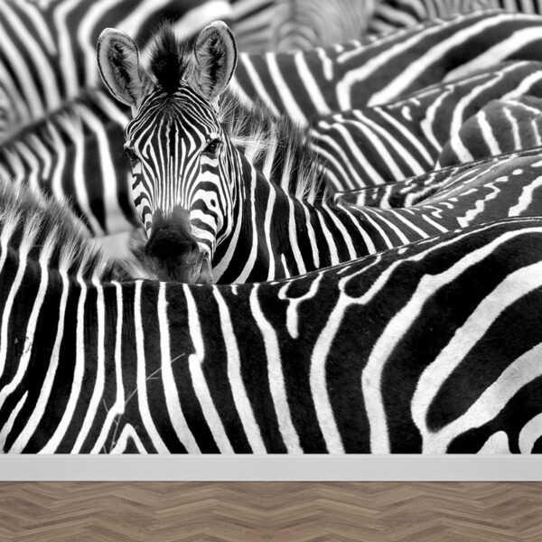 Carta da parati Zebra