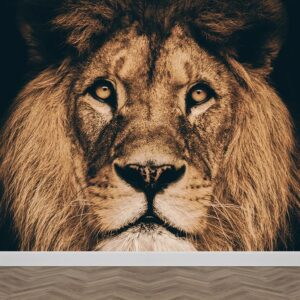Carta da parati Testa di leone