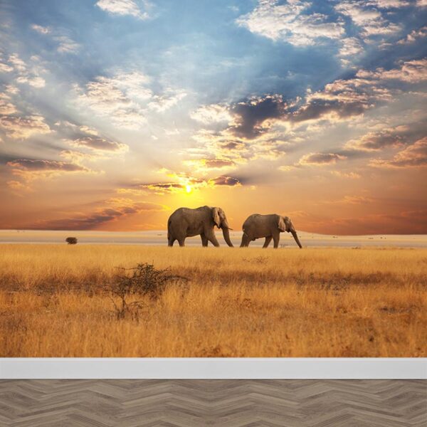 Carta da parati Elefanti al tramonto