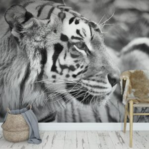 Fotobehang tijger close up zwartwit