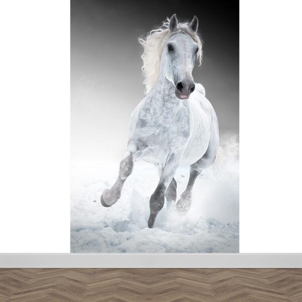 Fotobehang rennend paard wit