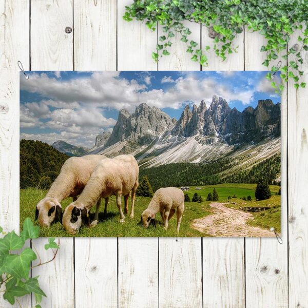 Poster da giardino Pecore in montagna