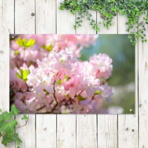 Poster da giardino Fiori di prunus