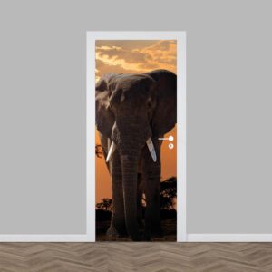 Adesivo per porta Elefante al tramonto