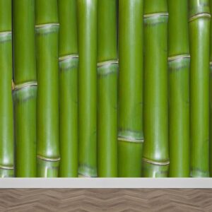 Carta da parati Bambù