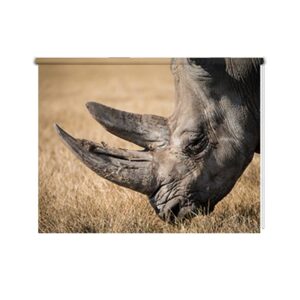 Tenda a rullo Rinoceronte