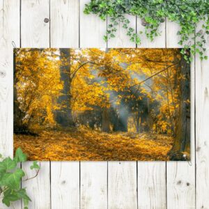 Poster da giardino Raggi di sole nella foresta