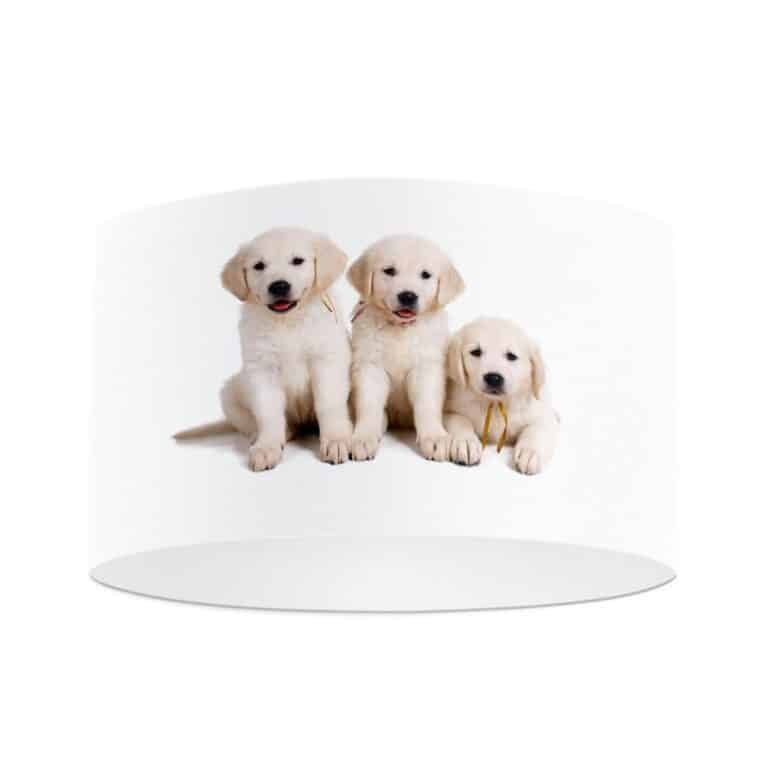 Paralume Cuccioli labrador