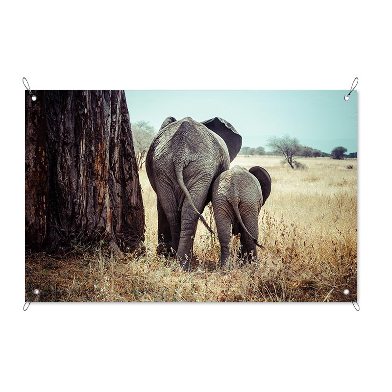 Poster da giardino Elefante con cucciolo