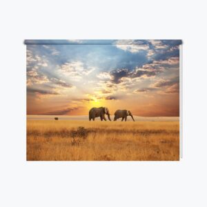 Tenda a rullo Elefanti in una passeggiata
