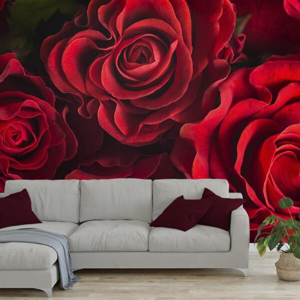 Fotobehang Rode rozen