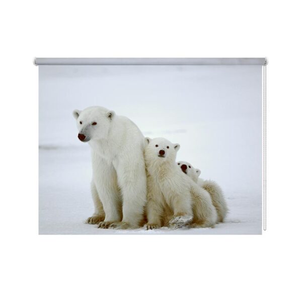 Tenda a rullo orsi polari