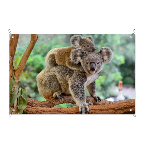 Poster da giardino Koala con il piccolo