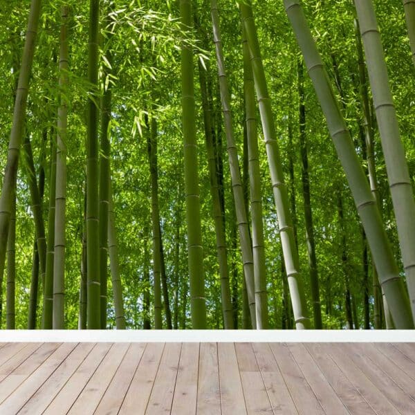 Carta da parati Giungla di bambù