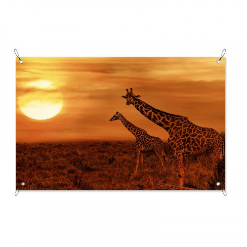Poster da giardino Giraffe nel crepuscolo