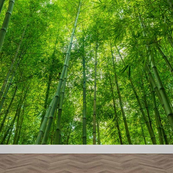 Carta da parati Alberi di bambù