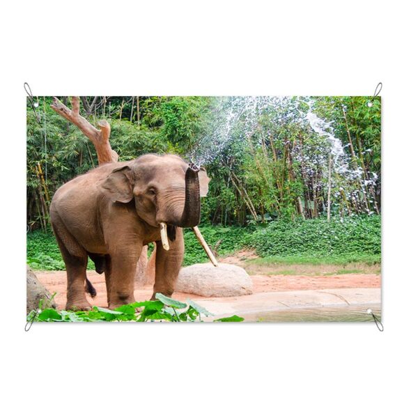 Poster da giardino Elefante