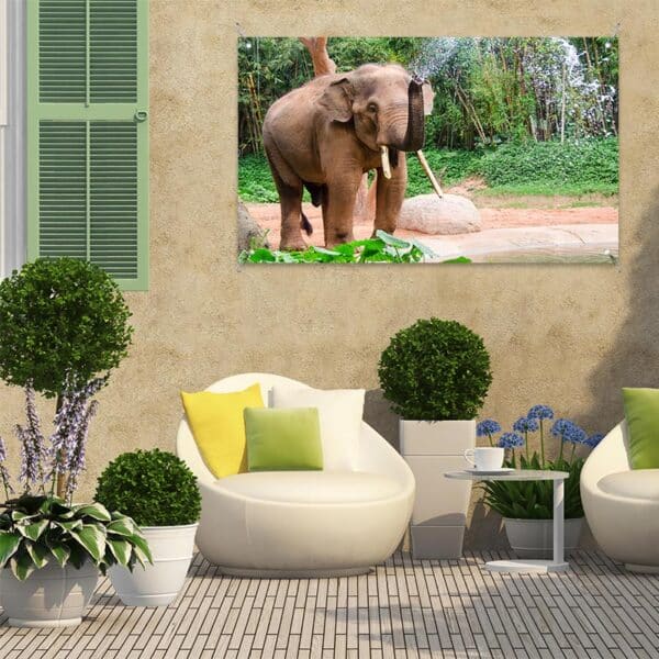 Striscione Elefante