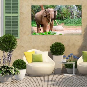 Poster da giardino Elefante nella doccia