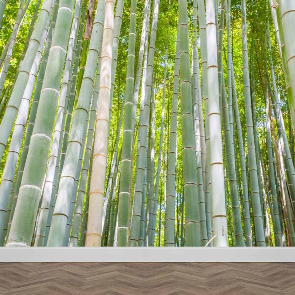 Carta da parati Bambù da vicino