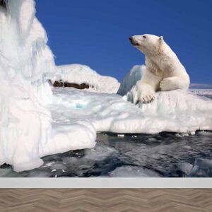 Carta da parati Orso polare