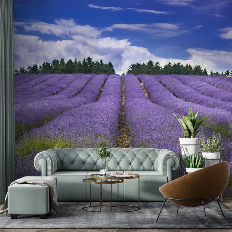 Carta da parati Lavanda