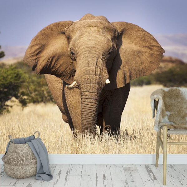 Carta da parati Elefante da vicino