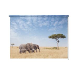 tenda a rullo famiglia di elefanti