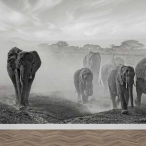 Carta da parati Elefanti speciale