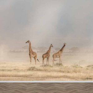 Carta da parati giraffe
