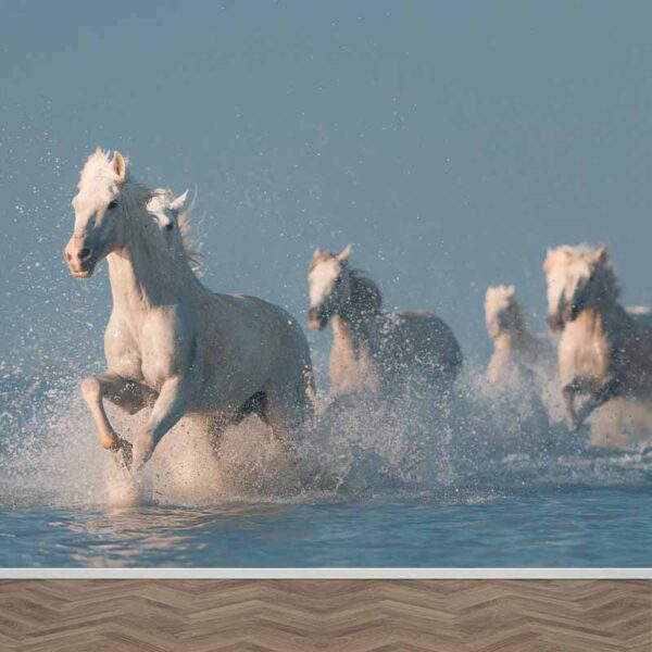 Carta da parati Cavalli in acqua