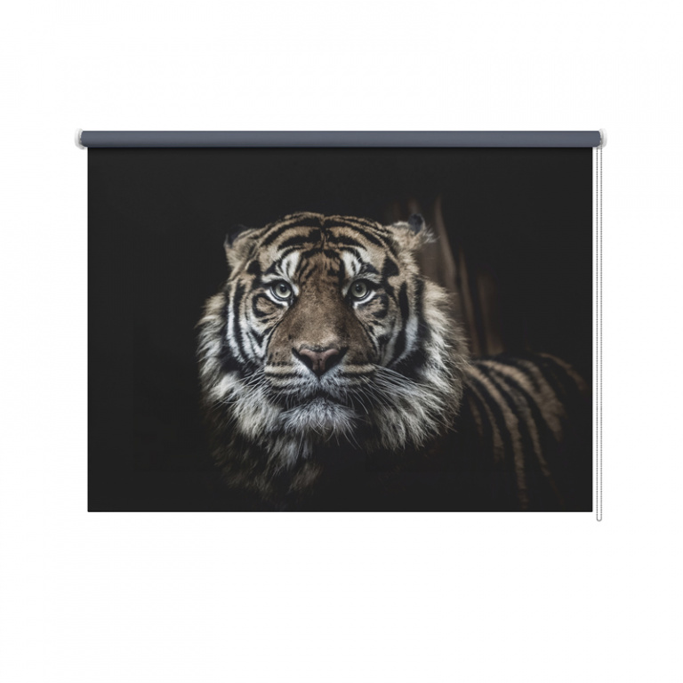 Tenda a rullo Tigre