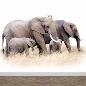 Carta da parati Quattro elefanti