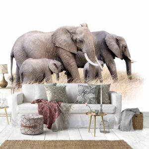 Carta da parati 4 elefanti