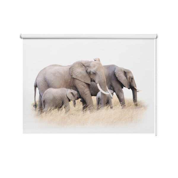 Tenda a rullo Family di elefanti