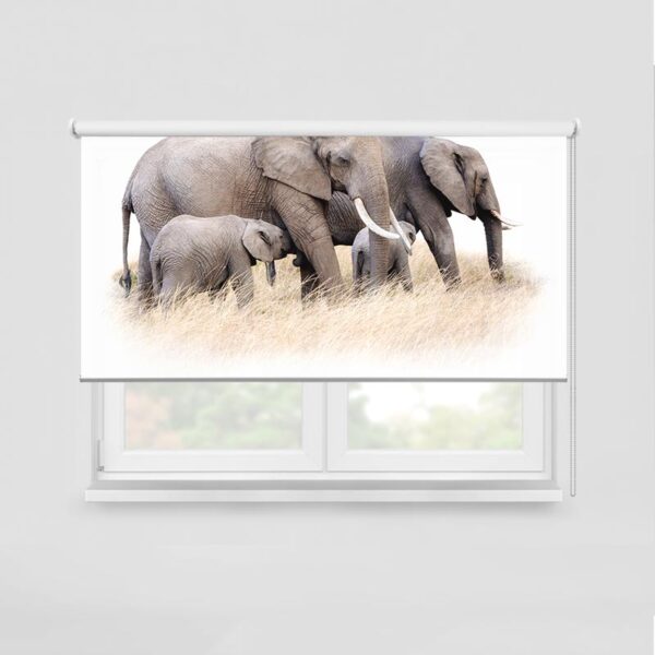 Tenda a rullo Family di elefanti