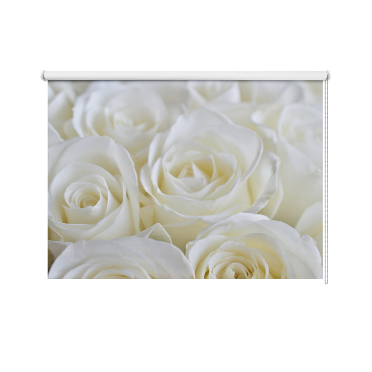Tenda a rullo Rose bianche