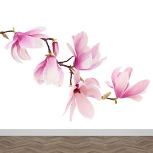 Carta da parati Ramo di magnolia