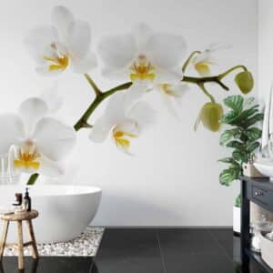 Carta fibra di vetro Orchidea bianca