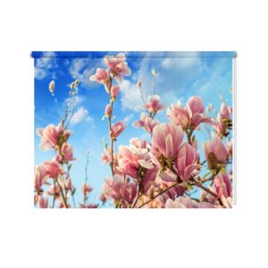 Tenda a rullo magnolia in fiore