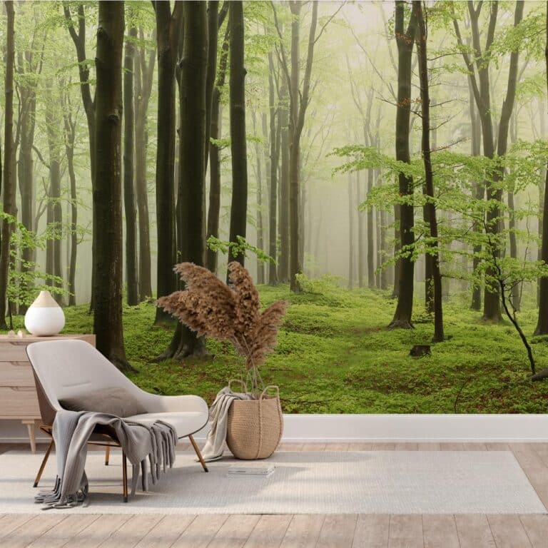 Carta da parati Foschia nel bosco