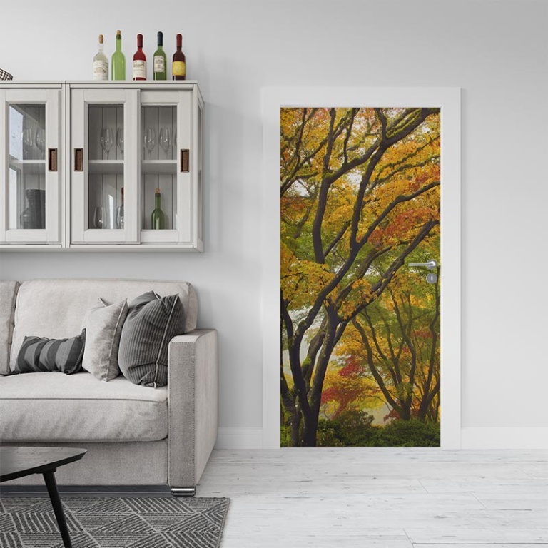Adesivo per porta Acero autunnale