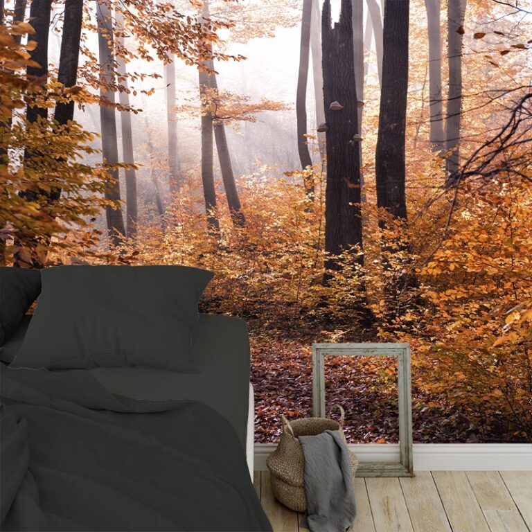Carta da parati l'autunno