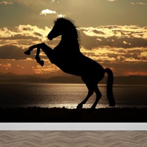 Carta da parati Cavallo al tramonto
