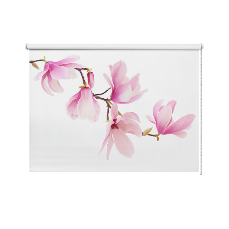Tenda a rullo Ramo di magnolia