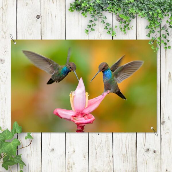 Striscione Colibrì su fiore