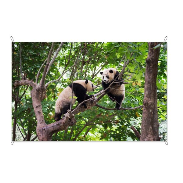 Poster da giardino Coppia di panda