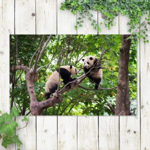 Poster da giardino Coppia di panda