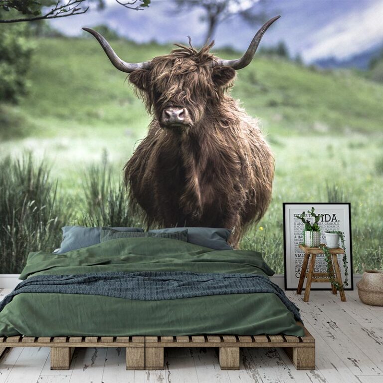 Carta da parati Highlander scozzese